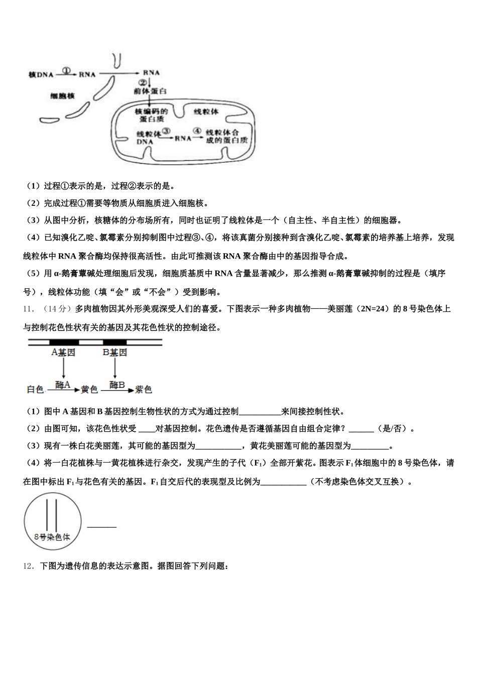 新疆乌鲁木齐市第101中学2025届生物高一下期末学业水平测试试题含解析_第3页