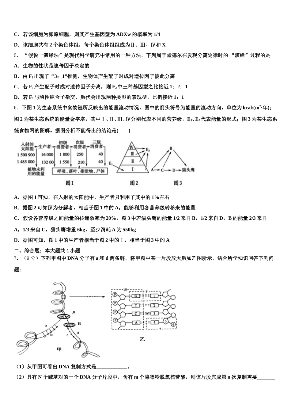 2024-2025学年新疆乌鲁木齐市第十中学生物高一下期末经典模拟试题含解析_第2页