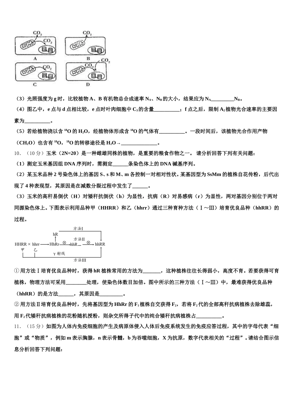 新疆维吾尔自治区乌鲁木齐市2025届高一生物第二学期期末教学质量检测模拟试题含解析_第3页