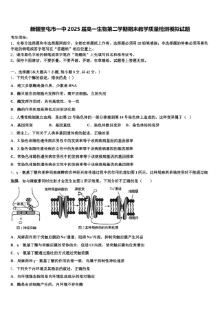 新疆奎屯市一中2025届高一生物第二学期期末教学质量检测模拟试题含解析
