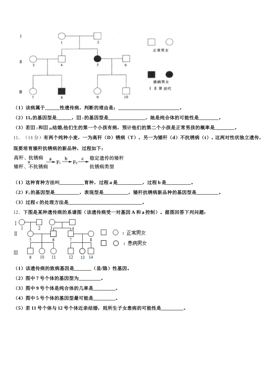 2025届新疆沙湾县第一中学高一下生物期末教学质量检测试题含解析_第3页