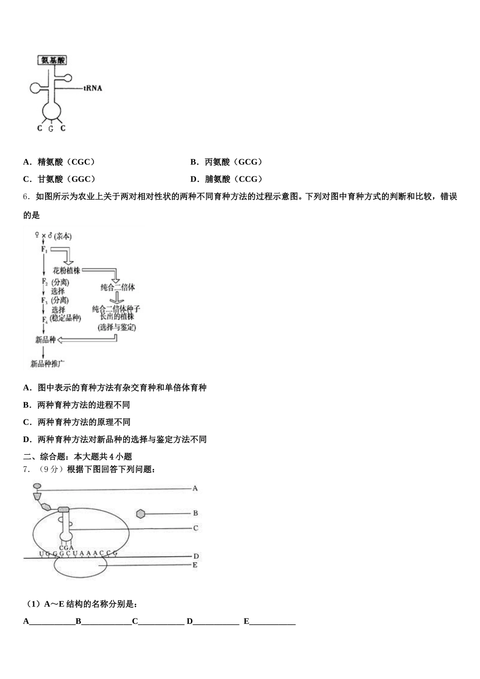 新疆阿克苏地区阿瓦提县第四中学2025届高一生物第二学期期末达标测试试题含解析_第2页