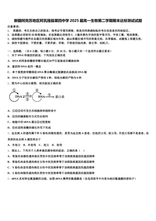 新疆阿克苏地区阿瓦提县第四中学2025届高一生物第二学期期末达标测试试题含解析