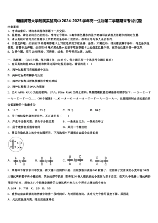 新疆师范大学附属实验高中2024-2025学年高一生物第二学期期末考试试题含解析