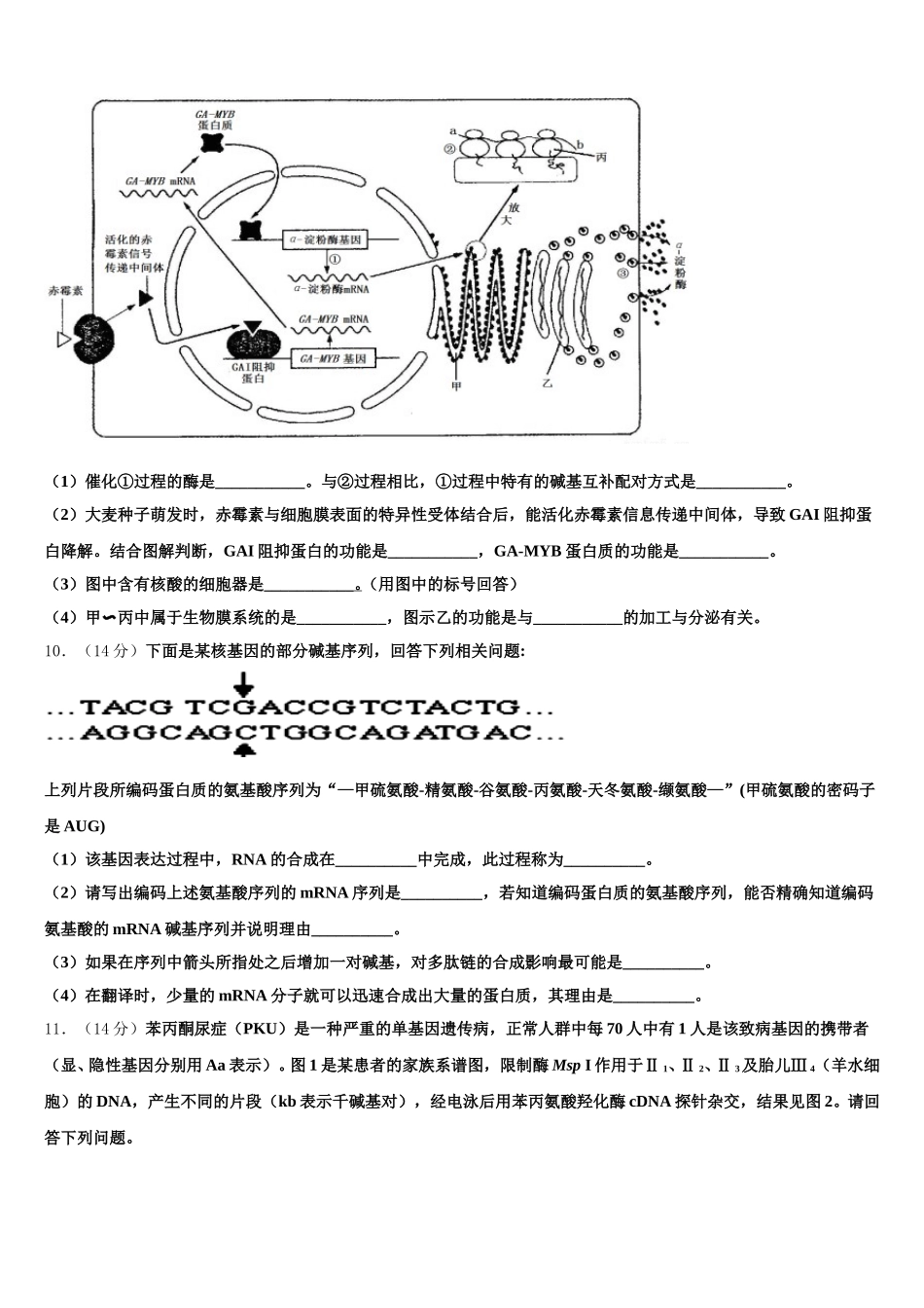 乌鲁木齐市第一中学2025年高一下生物期末达标测试试题含解析_第3页
