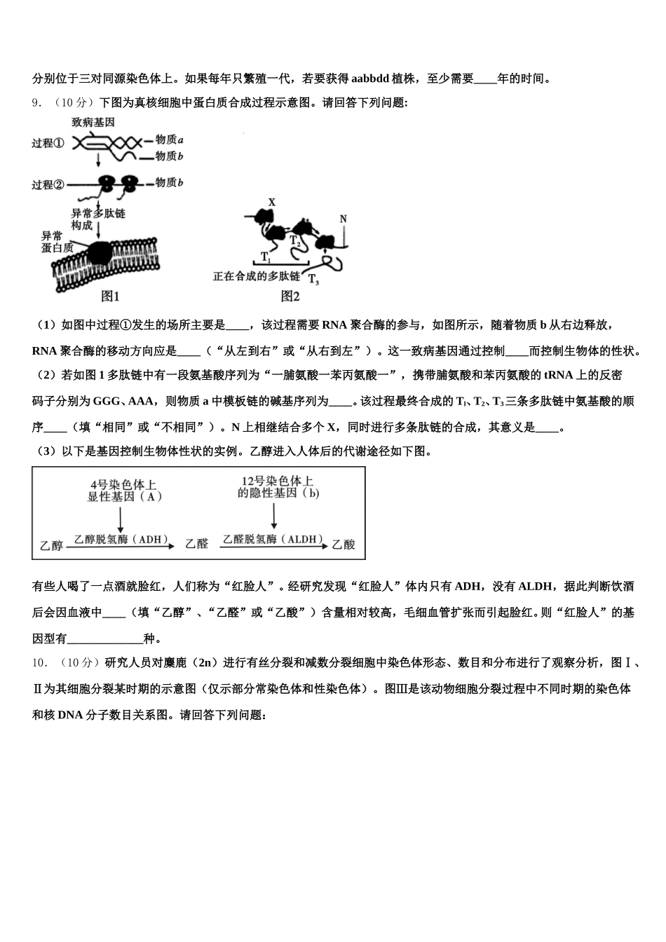 新疆喀什第二中学2024-2025学年生物高一下期末调研模拟试题含解析_第3页