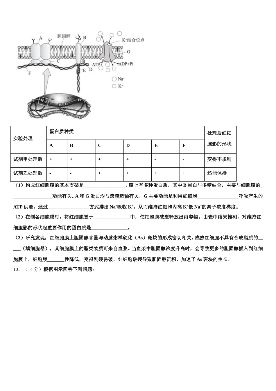 新疆生产建设兵团农八师一四三团第一中学2025届高一生物第二学期期末考试模拟试题含解析_第3页