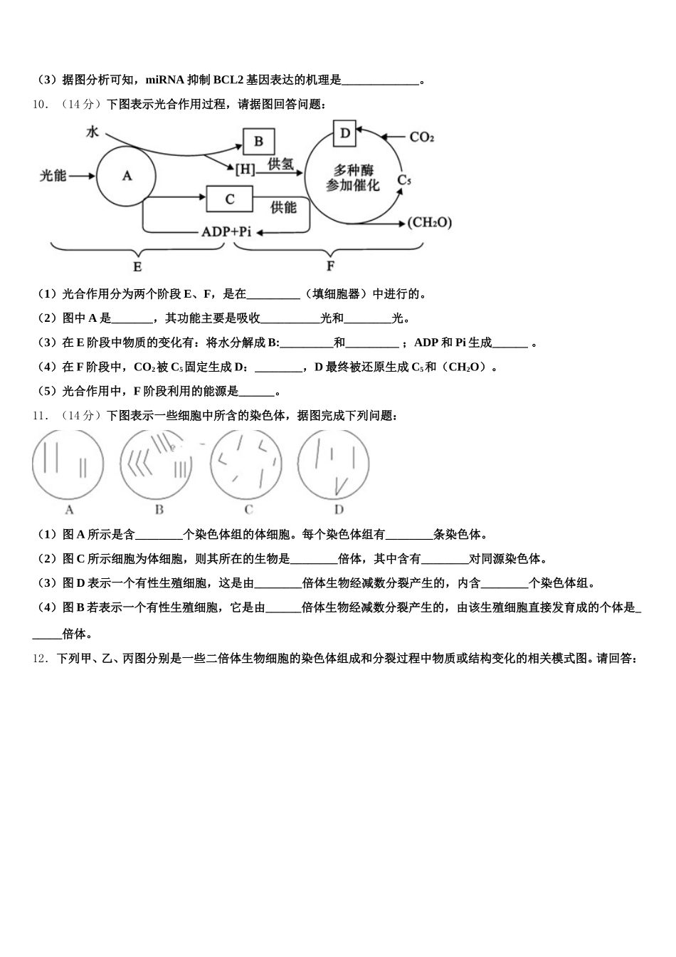 2025届新疆昌吉州第二中学生物高一下期末联考模拟试题含解析_第3页