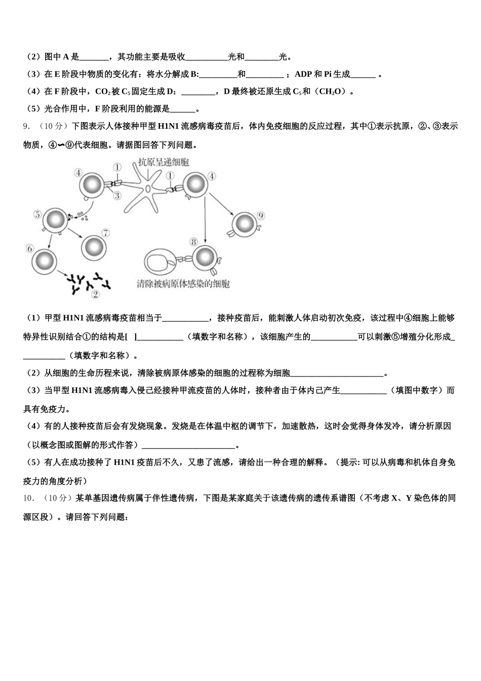 新疆维吾尔自治区乌鲁木齐市第十中学2025年高一生物第二学期期末学业质量监测模拟试题含解析_第3页