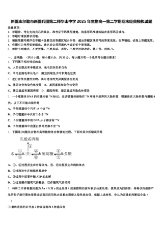 新疆库尔勒市新疆兵团第二师华山中学2025年生物高一第二学期期末经典模拟试题含解析
