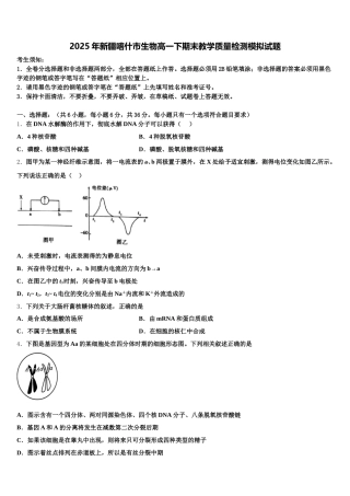 2025年新疆喀什市生物高一下期末教学质量检测模拟试题含解析