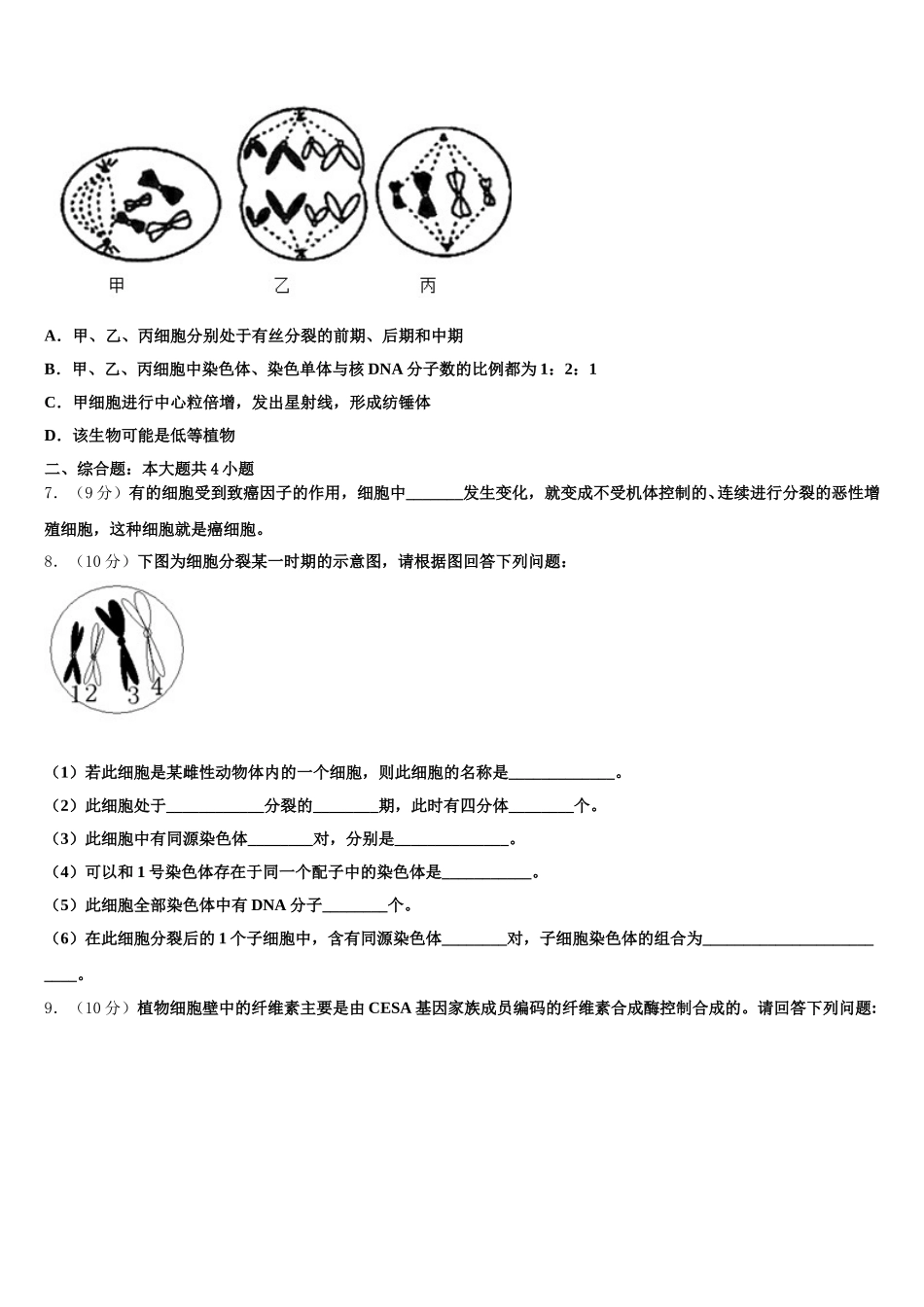 2025年新疆新师大附中高一生物第二学期期末监测模拟试题含解析_第2页