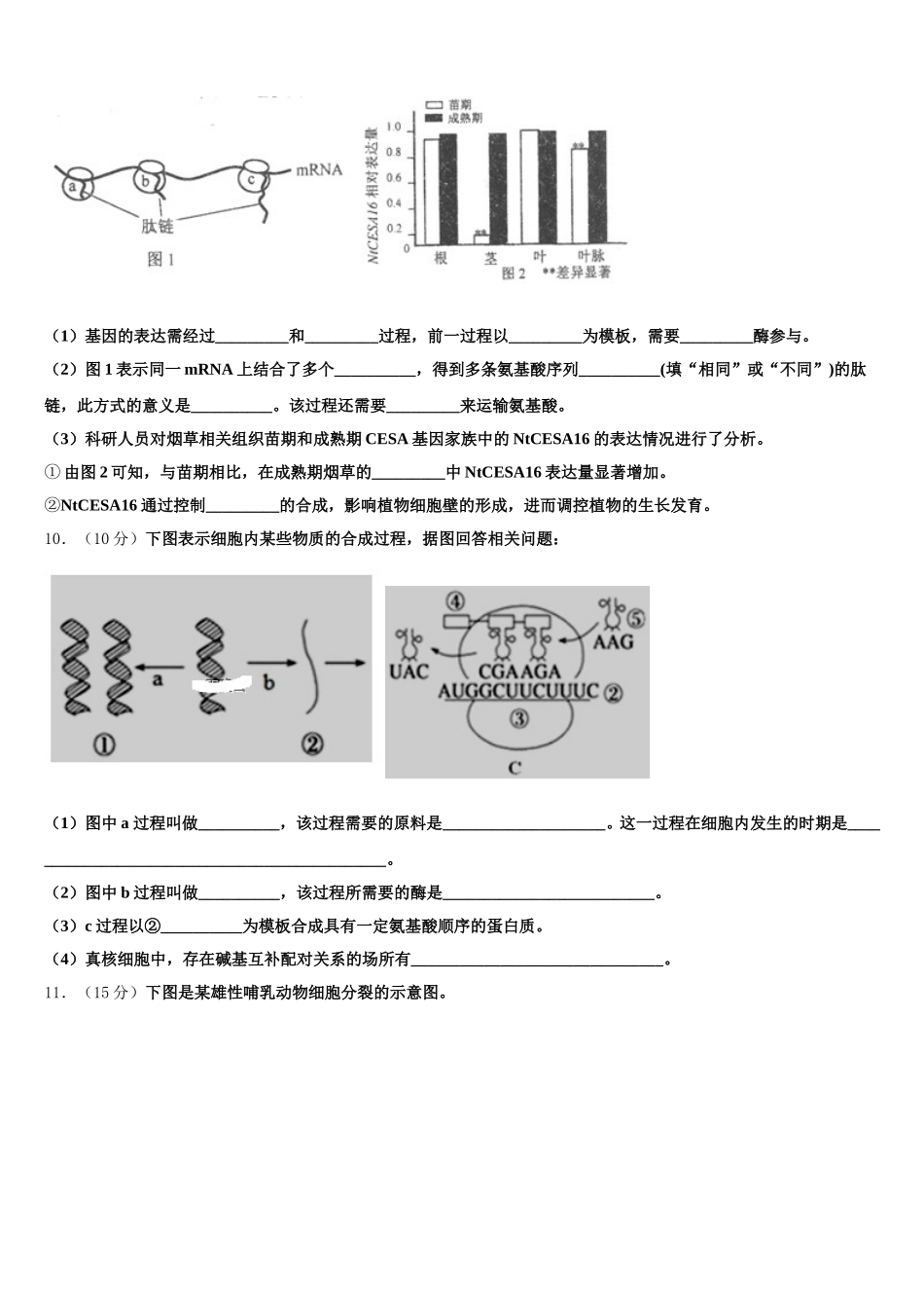 2025年新疆新师大附中高一生物第二学期期末监测模拟试题含解析_第3页
