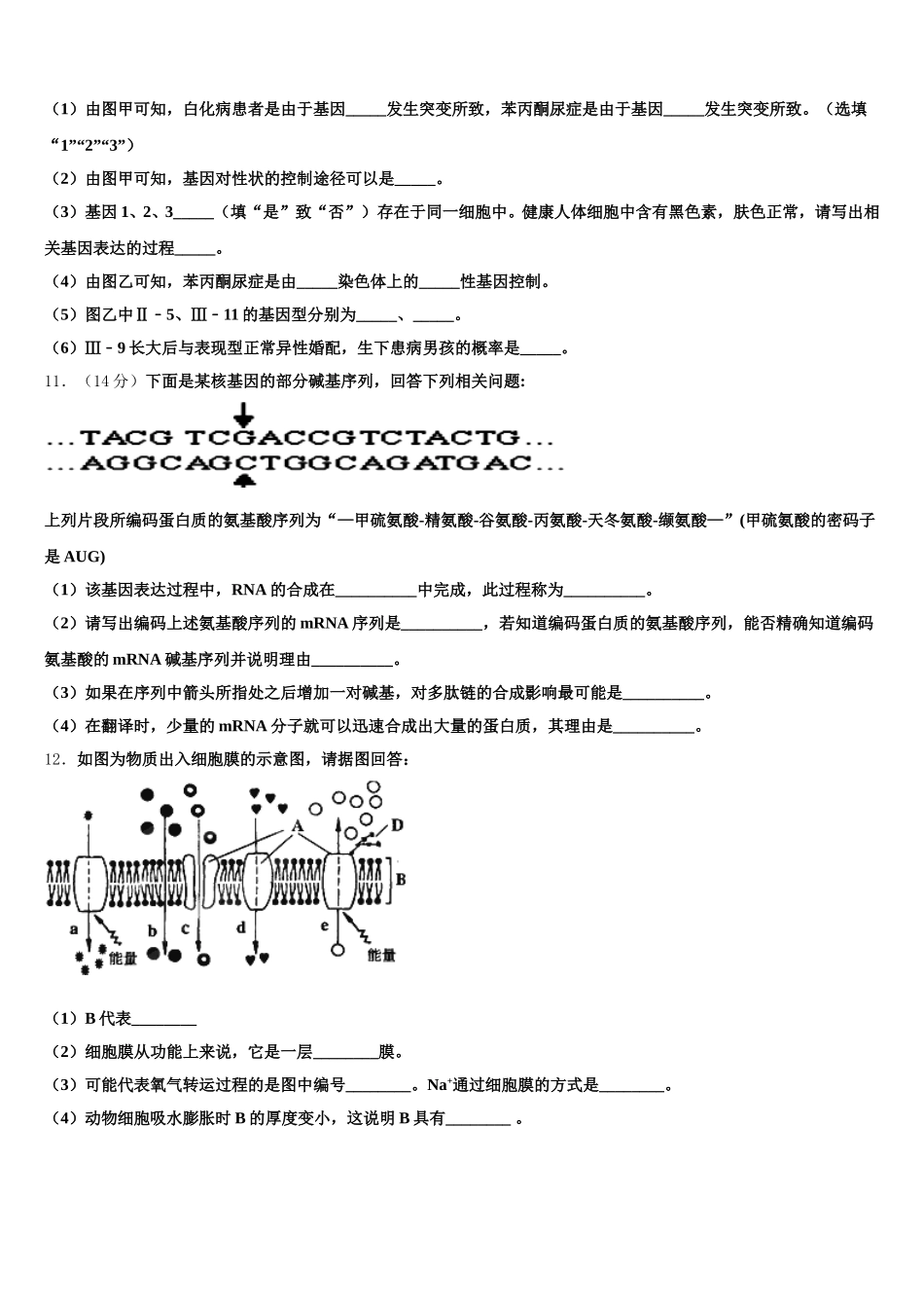 2025届新疆维吾尔自治区乌鲁木齐市第十中学生物高一第二学期期末统考试题含解析_第3页