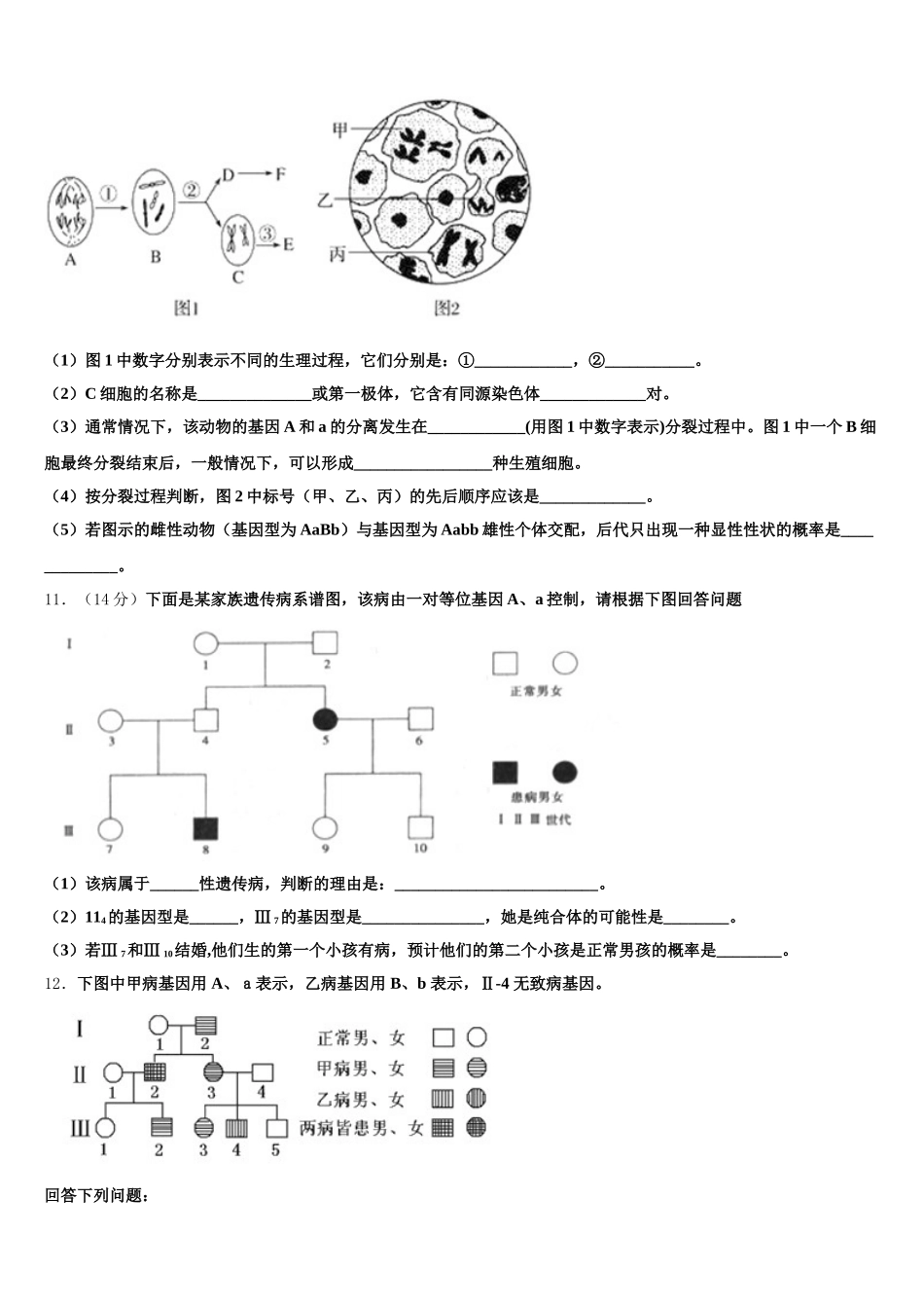 新疆维吾尔自治区乌鲁木齐市新市区第七十中学2024-2025学年高一下生物期末检测模拟试题含解析_第3页