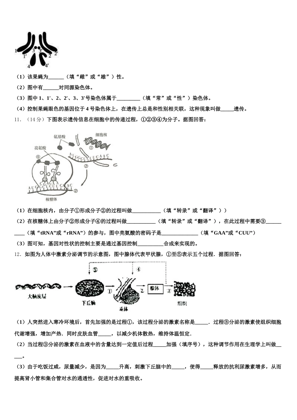 2025届新疆生产建设兵团第二中学生物高一下期末联考模拟试题含解析_第3页
