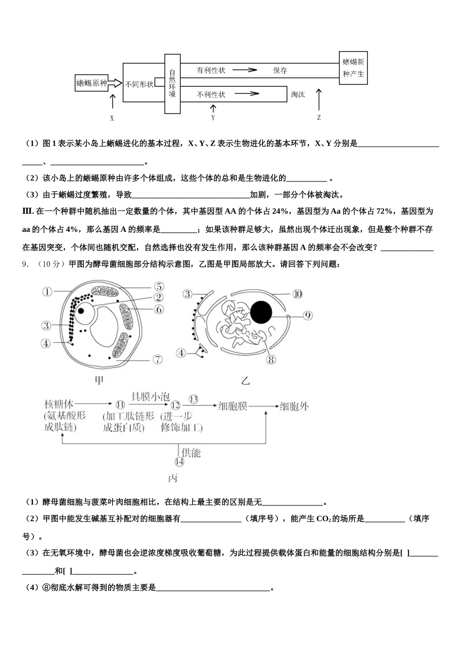 2024-2025学年新疆阿克苏地区库车县乌尊镇乌尊中学高一下生物期末质量跟踪监视模拟试题含解析_第3页