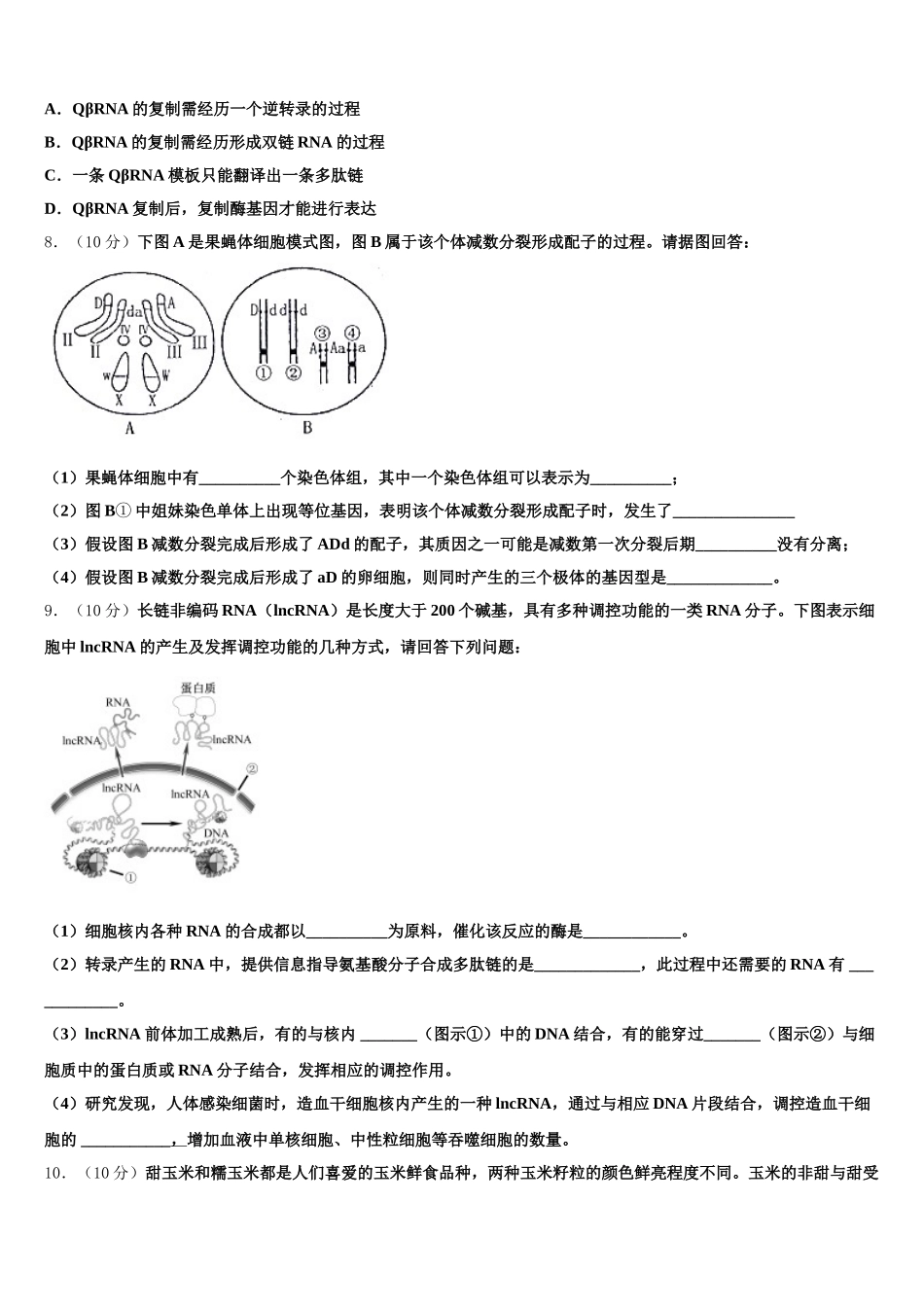 2025届新疆昌吉市一中生物高一下期末复习检测模拟试题含解析_第3页