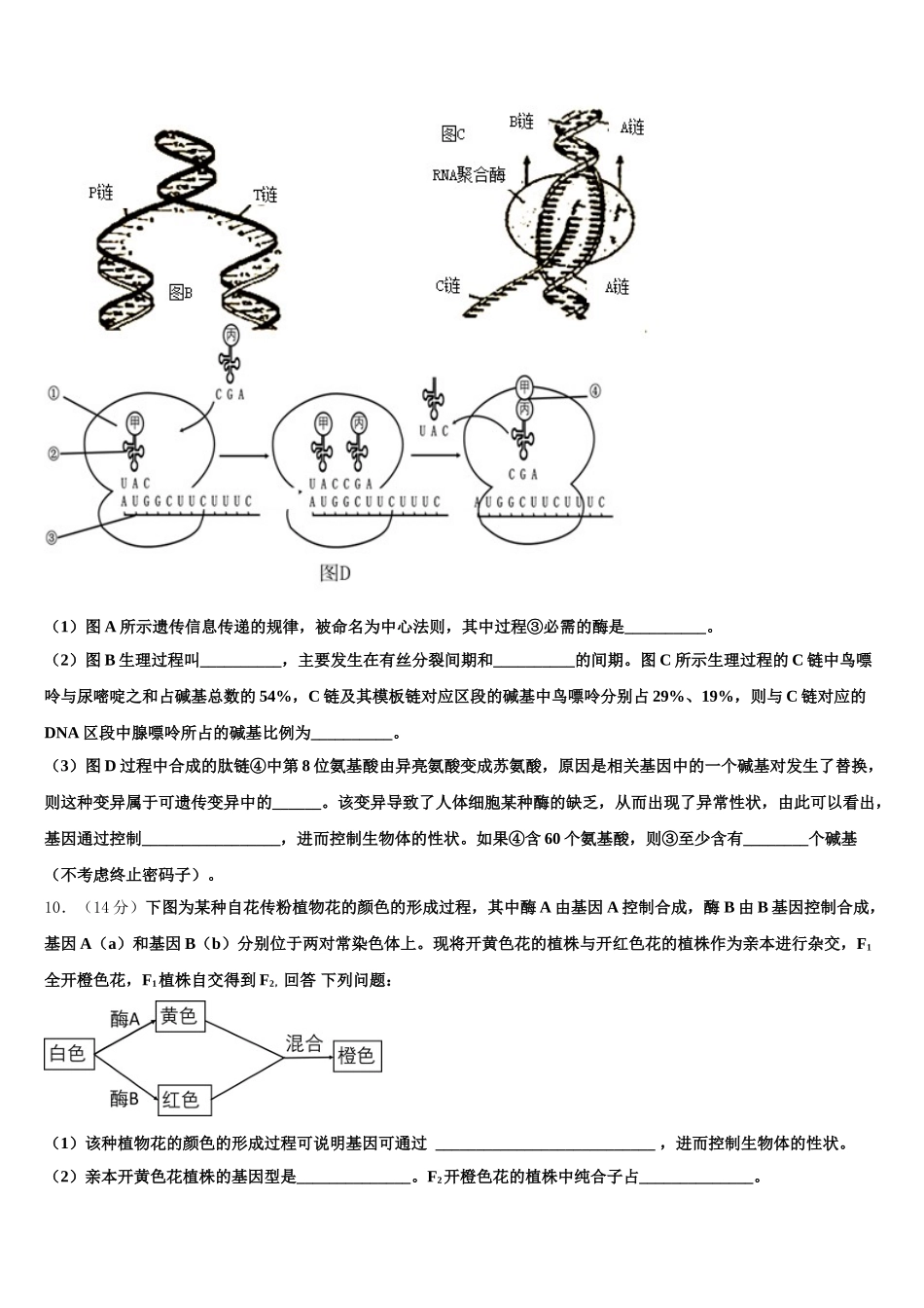 2025年新疆乌鲁木齐市八一中学生物高一第二学期期末经典模拟试题含解析_第3页