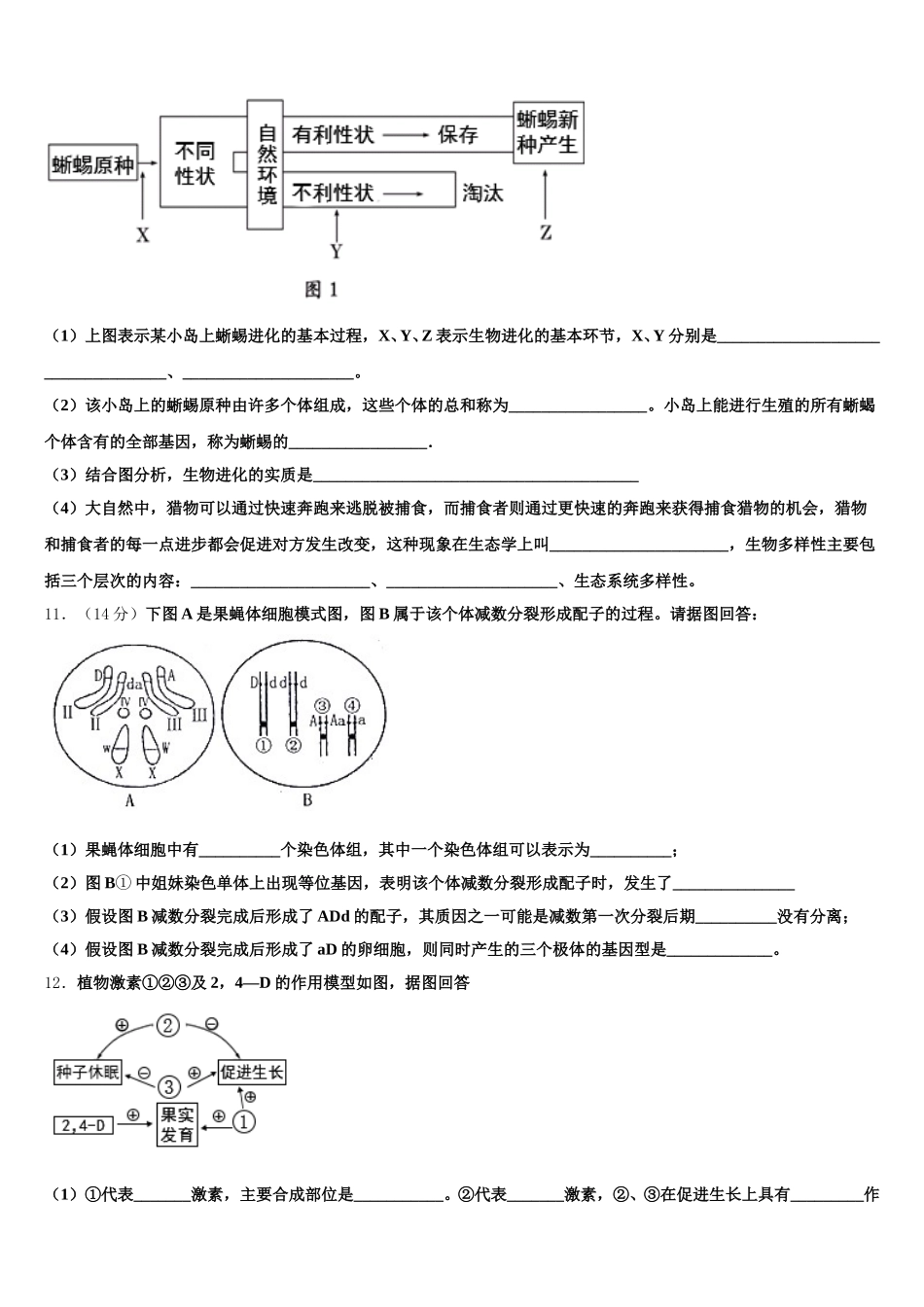 新疆伊西哈拉镇中学2025年生物高一下期末监测试题含解析_第3页