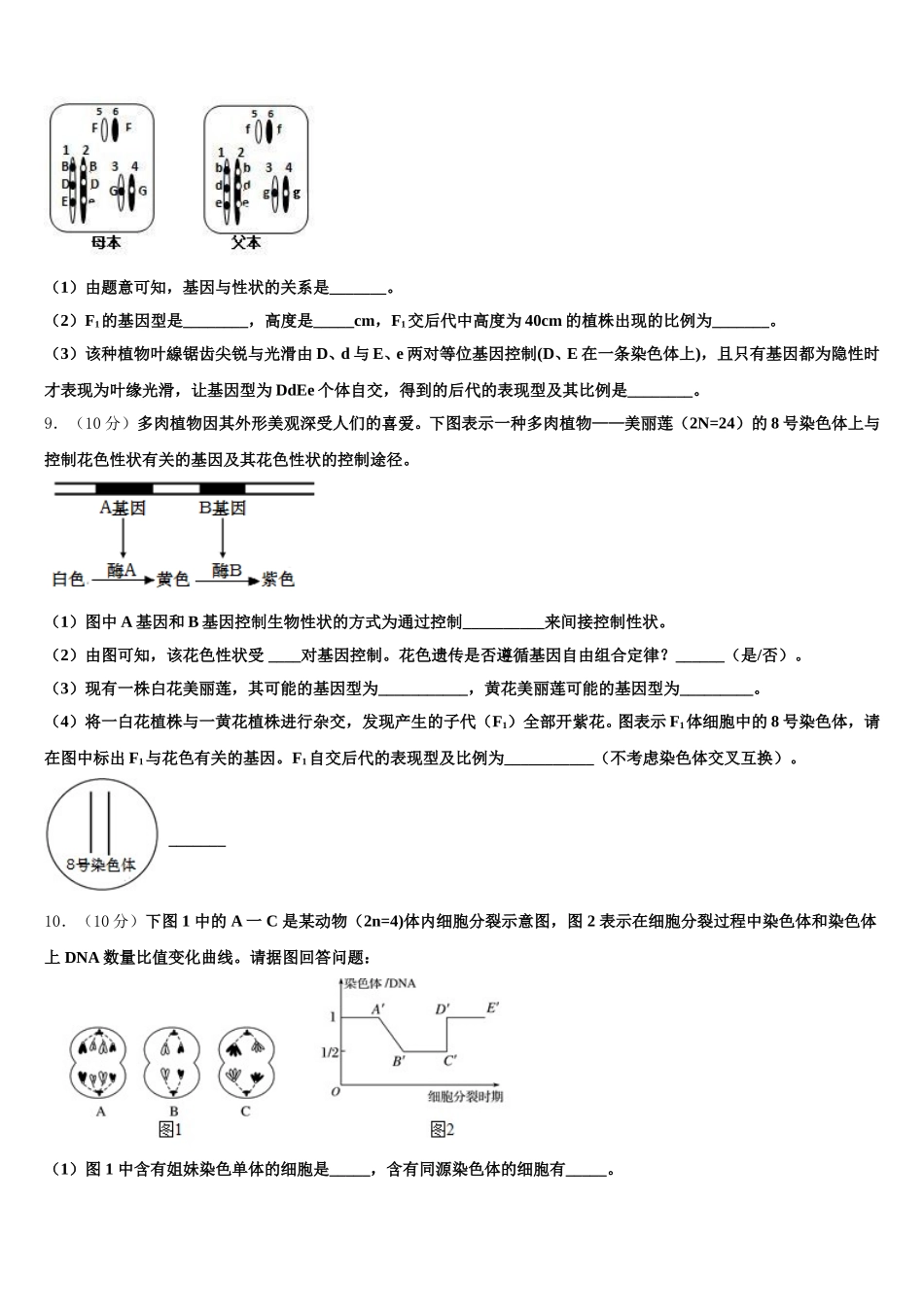 2025届新疆乌鲁木齐市沙依巴克区四中生物高一下期末联考试题含解析_第3页