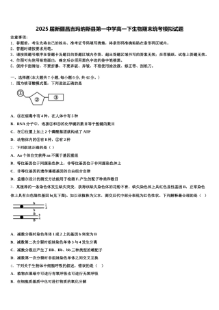 2025届新疆昌吉玛纳斯县第一中学高一下生物期末统考模拟试题含解析