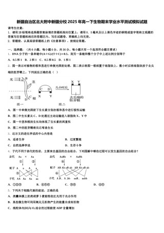 新疆自治区北大附中新疆分校2025年高一下生物期末学业水平测试模拟试题含解析