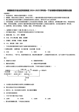 新疆维吾尔自治区和田地区2024-2025学年高一下生物期末质量检测模拟试题含解析