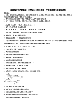 新疆昌吉玛纳斯县第一中学2025年生物高一下期末质量检测模拟试题含解析