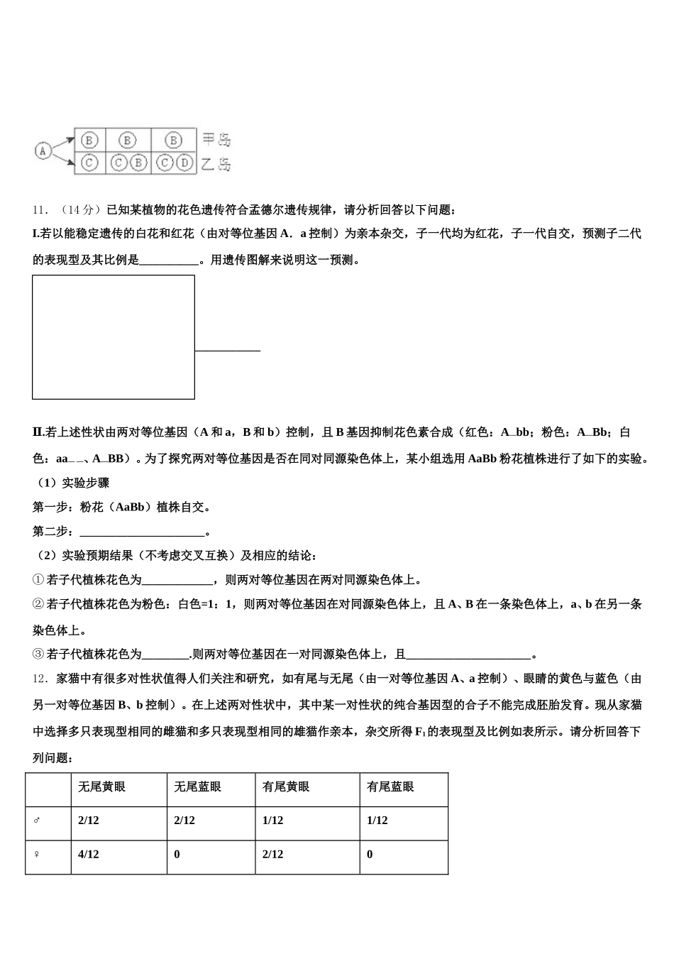 2025届新疆哈密石油高中高一生物第二学期期末考试模拟试题含解析_第3页