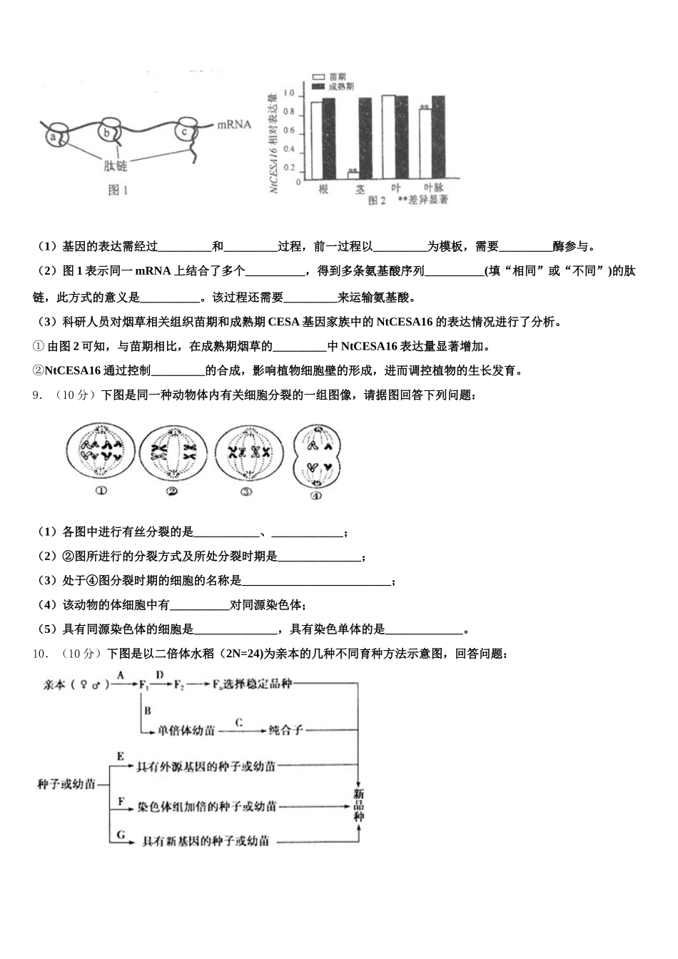 2025届新疆阿克苏市实验中学高一生物第二学期期末统考试题含解析_第3页