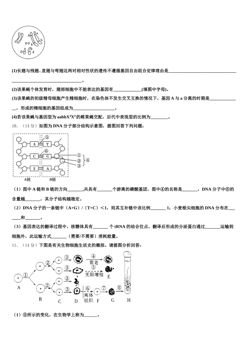 新疆昌吉市教育共同体2024-2025学年高一下生物期末教学质量检测试题含解析_第3页