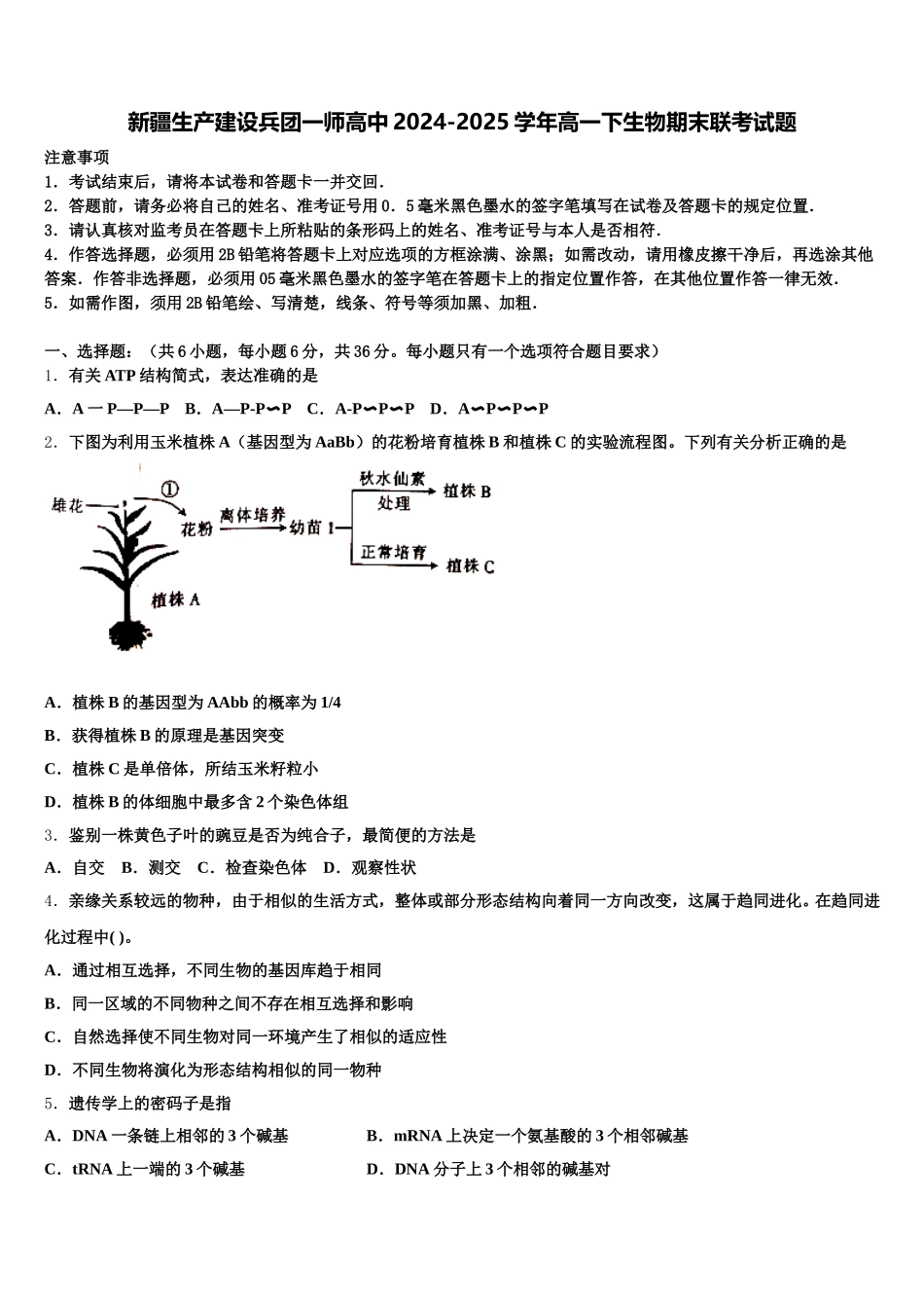 新疆生产建设兵团一师高中2024-2025学年高一下生物期末联考试题含解析_第1页