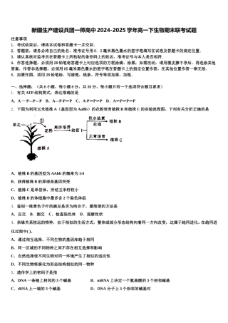 新疆生产建设兵团一师高中2024-2025学年高一下生物期末联考试题含解析
