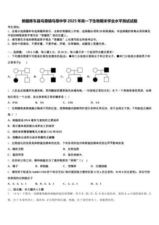 新疆库车县乌尊镇乌尊中学2025年高一下生物期末学业水平测试试题含解析