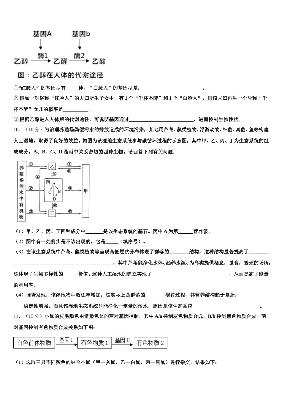 新疆乌鲁木齐市天山区兵团第二中学2024-2025学年高一下生物期末教学质量检测试题含解析_第3页