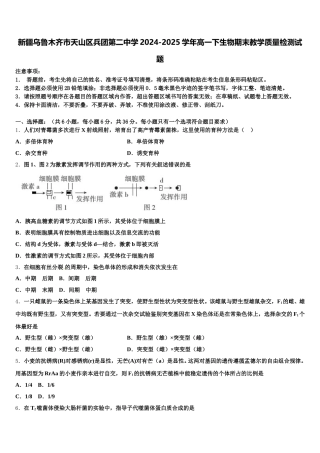 新疆乌鲁木齐市天山区兵团第二中学2024-2025学年高一下生物期末教学质量检测试题含解析