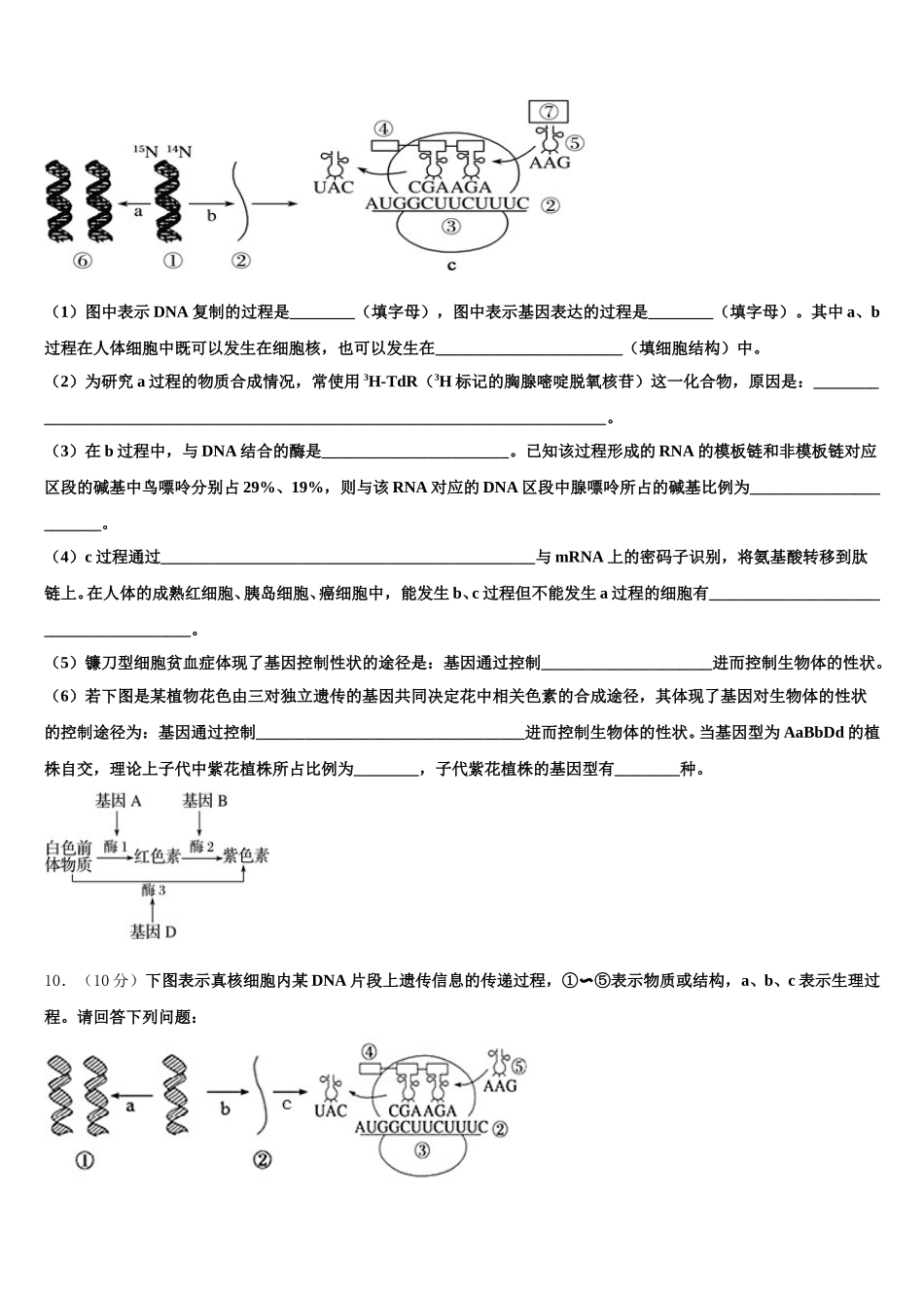 新疆维吾尔自治区生产建设兵团第二中学2025年生物高一第二学期期末调研试题含解析_第3页