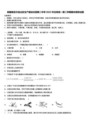 新疆维吾尔自治区生产建设兵团第二中学2025年生物高一第二学期期末调研试题含解析