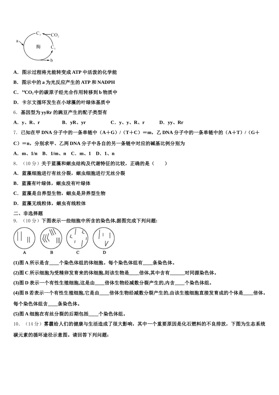 2024-2025学年新疆维吾尔自治区乌鲁木齐地区高一下生物期末监测试题含解析_第2页