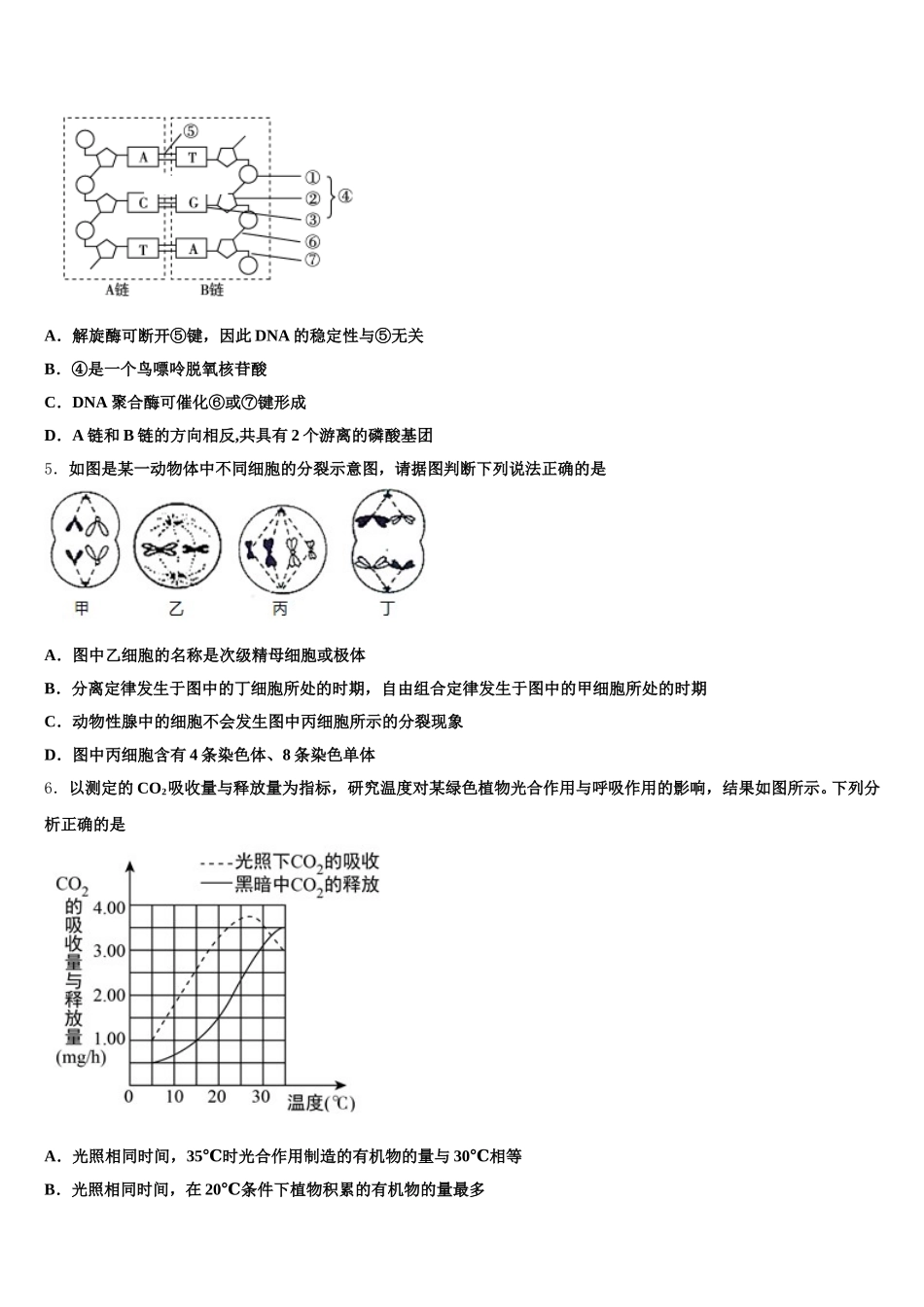 2025年新疆库尔勒市新疆兵团第二师华山中学生物高一下期末调研模拟试题含解析_第2页