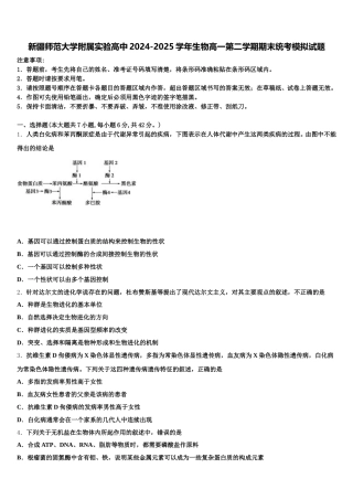 新疆师范大学附属实验高中2024-2025学年生物高一第二学期期末统考模拟试题含解析