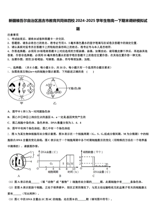 新疆维吾尔自治区昌吉市教育共同体四校2024-2025学年生物高一下期末调研模拟试题含解析