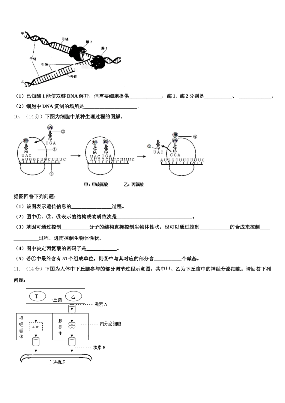 新疆巴楚县第一中学2025届高一生物第二学期期末经典模拟试题含解析_第3页