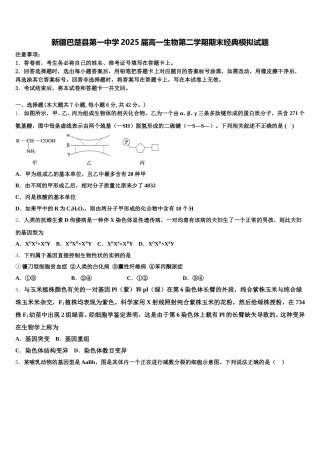 新疆巴楚县第一中学2025届高一生物第二学期期末经典模拟试题含解析