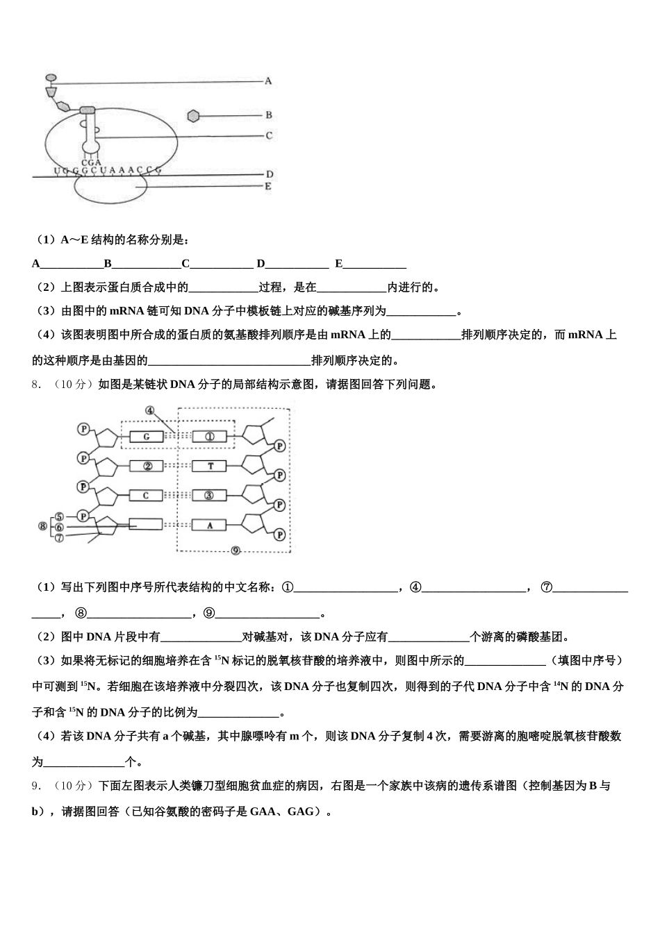 2025届新疆沙雅县二中高一下生物期末质量跟踪监视试题含解析_第3页