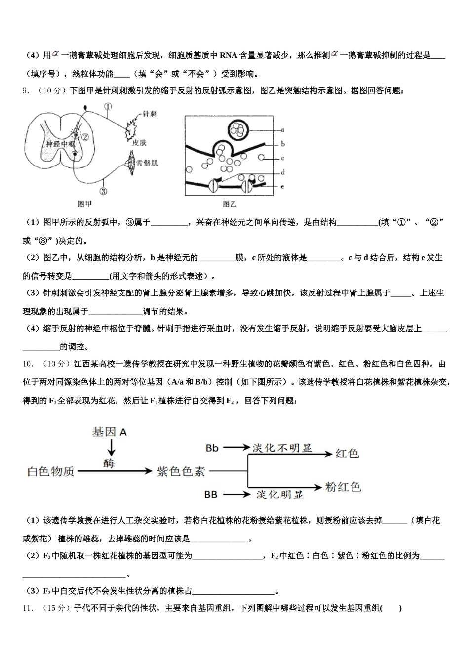 2025届新疆生产建设兵团第二中学高一下生物期末教学质量检测试题含解析_第3页