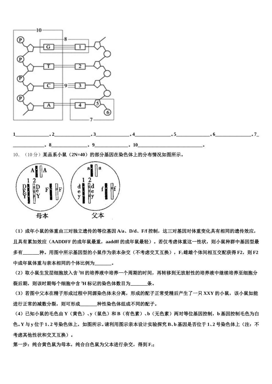 2024-2025学年新疆师范大学附属实验高中高一下生物期末检测试题含解析_第3页