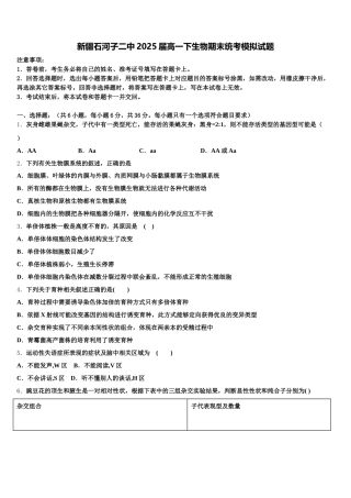 新疆石河子二中2025届高一下生物期末统考模拟试题含解析