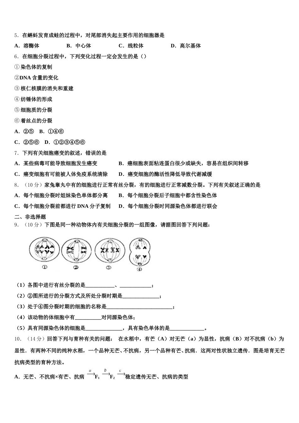 新疆乌鲁木齐市第一中学2025届高一下生物期末经典模拟试题含解析_第2页
